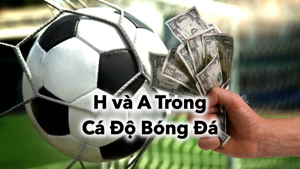 Tìm Hiểu Tác Động Của H và A Trong Cá Độ Bóng Đá