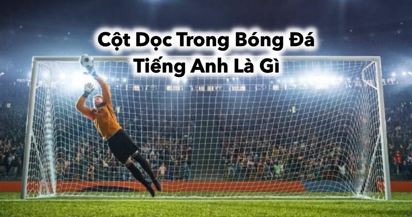 Tìm Hiểu Cột Dọc Trong Bóng Đá Tiếng Anh Là Gì?