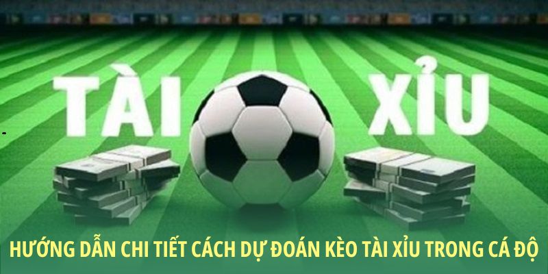 Hướng dẫn chi tiết cách dự đoán kèo tài xỉu trong cá độ