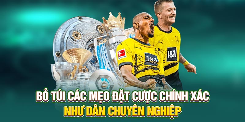 Bỏ túi các mẹo đặt cược chính xác như dân chuyên nghiệp