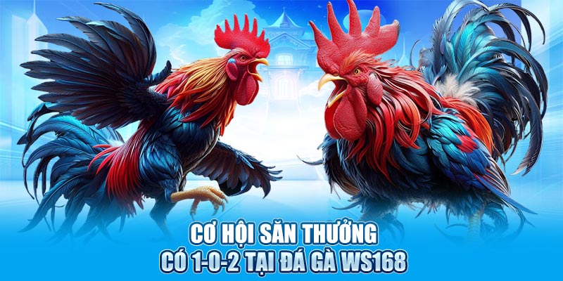 Cơ hội săn thưởng có 1-0-2 tại đá gà WS168
