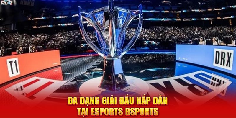 Đa dạng giải đấu hấp dẫn tại Esports Bsports