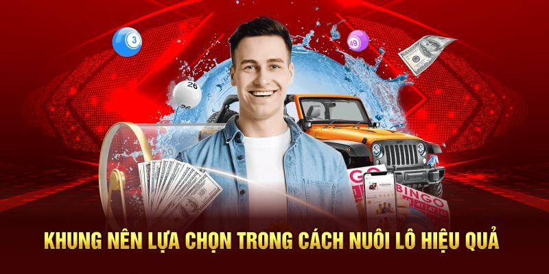 Khung nên lựa chọn trong cách nuôi lô hiệu quả
