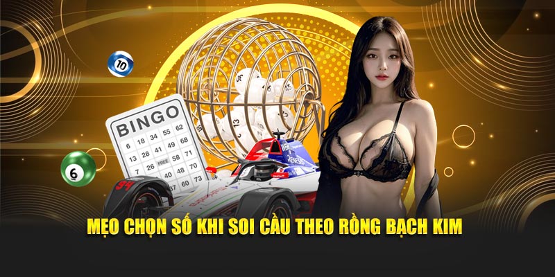 Mẹo chọn số khi soi cầu theo Rồng Bạch Kim