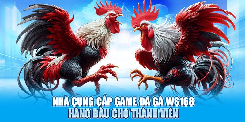Nhà cung cấp game đá gà WS168 hàng đầu cho thành viên