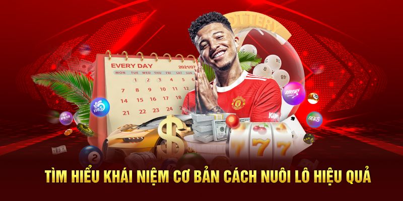 Tìm hiểu khái niệm cơ bản cách nuôi lô hiệu quả