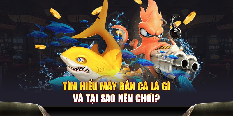 Tìm hiểu máy bắn cá là gì và tại sao nên chơi?