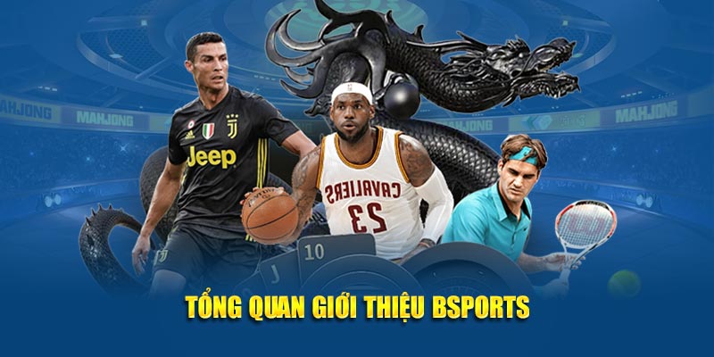 Tổng quan giới thiệu Bsports