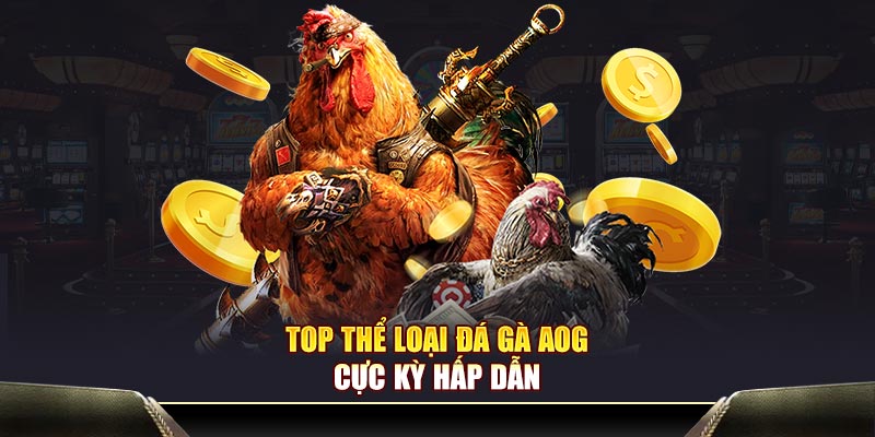 Top thể loại đá gà AOG cực kỳ hấp dẫn